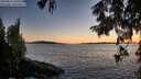 ./images/koeye/fitz-hugh/20250811/fitz-hugh20250811_210009M.jpg