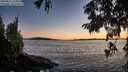 ./images/koeye/fitz-hugh/20250811/fitz-hugh20250811_211009M.jpg