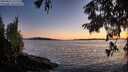 ./images/koeye/fitz-hugh/20250811/fitz-hugh20250811_211509M.jpg