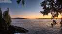 ./images/koeye/fitz-hugh/20250811/fitz-hugh20250811_212510M.jpg