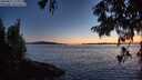 ./images/koeye/fitz-hugh/20250811/fitz-hugh20250811_214009M.jpg