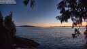 ./images/koeye/fitz-hugh/20250811/fitz-hugh20250811_214508M.jpg