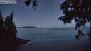 ./images/koeye/fitz-hugh/20250812/fitz-hugh20250812_053009M.jpg