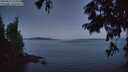 ./images/koeye/fitz-hugh/20250812/fitz-hugh20250812_053509M.jpg