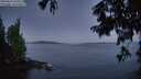 ./images/koeye/fitz-hugh/20250812/fitz-hugh20250812_054009M.jpg