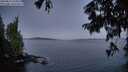 ./images/koeye/fitz-hugh/20250812/fitz-hugh20250812_054508M.jpg