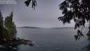./images/koeye/fitz-hugh/20250812/fitz-hugh20250812_055010M.jpg