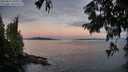 ./images/koeye/fitz-hugh/20250812/fitz-hugh20250812_061011M.jpg