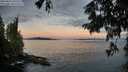 ./images/koeye/fitz-hugh/20250812/fitz-hugh20250812_061510M.jpg