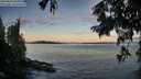 ./images/koeye/fitz-hugh/20250812/fitz-hugh20250812_063009M.jpg
