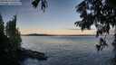 ./images/koeye/fitz-hugh/20250812/fitz-hugh20250812_064010M.jpg