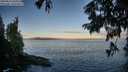 ./images/koeye/fitz-hugh/20250812/fitz-hugh20250812_065012M.jpg