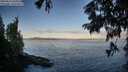 ./images/koeye/fitz-hugh/20250812/fitz-hugh20250812_065509M.jpg