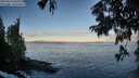 ./images/koeye/fitz-hugh/20250812/fitz-hugh20250812_070011M.jpg