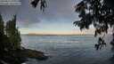 ./images/koeye/fitz-hugh/20250812/fitz-hugh20250812_071011M.jpg