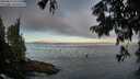 ./images/koeye/fitz-hugh/20250812/fitz-hugh20250812_071510M.jpg