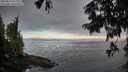 ./images/koeye/fitz-hugh/20250812/fitz-hugh20250812_072010M.jpg
