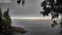 ./images/koeye/fitz-hugh/20250812/fitz-hugh20250812_073011M.jpg