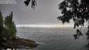 ./images/koeye/fitz-hugh/20250812/fitz-hugh20250812_073509M.jpg