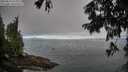 ./images/koeye/fitz-hugh/20250812/fitz-hugh20250812_074010M.jpg
