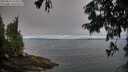 ./images/koeye/fitz-hugh/20250812/fitz-hugh20250812_074510M.jpg