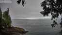 ./images/koeye/fitz-hugh/20250812/fitz-hugh20250812_080010M.jpg