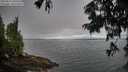 ./images/koeye/fitz-hugh/20250812/fitz-hugh20250812_080509M.jpg