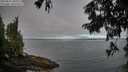 ./images/koeye/fitz-hugh/20250812/fitz-hugh20250812_081011M.jpg