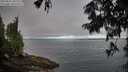 ./images/koeye/fitz-hugh/20250812/fitz-hugh20250812_081511M.jpg