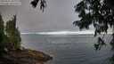 ./images/koeye/fitz-hugh/20250812/fitz-hugh20250812_082007M.jpg