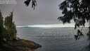 ./images/koeye/fitz-hugh/20250812/fitz-hugh20250812_082510M.jpg
