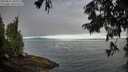 ./images/koeye/fitz-hugh/20250812/fitz-hugh20250812_083010M.jpg