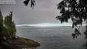 ./images/koeye/fitz-hugh/20250812/fitz-hugh20250812_083511M.jpg