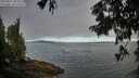 ./images/koeye/fitz-hugh/20250812/fitz-hugh20250812_084011M.jpg