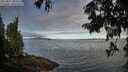 ./images/koeye/fitz-hugh/20250812/fitz-hugh20250812_084510M.jpg