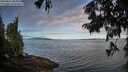 ./images/koeye/fitz-hugh/20250812/fitz-hugh20250812_085009M.jpg