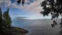 ./images/koeye/fitz-hugh/20250812/fitz-hugh20250812_090012M.jpg