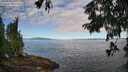 ./images/koeye/fitz-hugh/20250812/fitz-hugh20250812_091011M.jpg