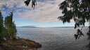 ./images/koeye/fitz-hugh/20250812/fitz-hugh20250812_091511M.jpg