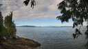 ./images/koeye/fitz-hugh/20250812/fitz-hugh20250812_092510M.jpg