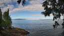 ./images/koeye/fitz-hugh/20250812/fitz-hugh20250812_093511M.jpg