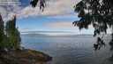 ./images/koeye/fitz-hugh/20250812/fitz-hugh20250812_094010M.jpg