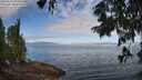 ./images/koeye/fitz-hugh/20250812/fitz-hugh20250812_095011M.jpg