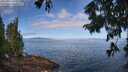 ./images/koeye/fitz-hugh/20250812/fitz-hugh20250812_095510M.jpg