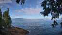 ./images/koeye/fitz-hugh/20250812/fitz-hugh20250812_100011M.jpg