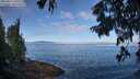 ./images/koeye/fitz-hugh/20250812/fitz-hugh20250812_100510M.jpg
