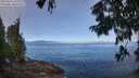 ./images/koeye/fitz-hugh/20250812/fitz-hugh20250812_101010M.jpg