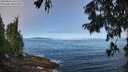 ./images/koeye/fitz-hugh/20250812/fitz-hugh20250812_101509M.jpg