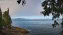 ./images/koeye/fitz-hugh/20250812/fitz-hugh20250812_102010M.jpg