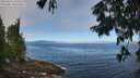 ./images/koeye/fitz-hugh/20250812/fitz-hugh20250812_102510M.jpg